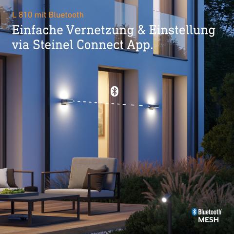 STEINEL L 810 SC anthrazit